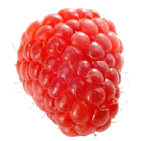 Raspberry
