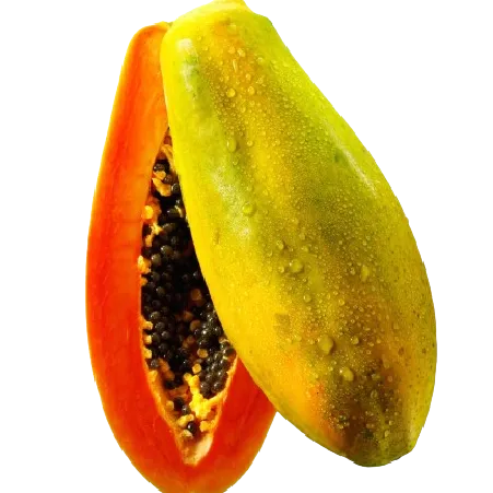 Papaya